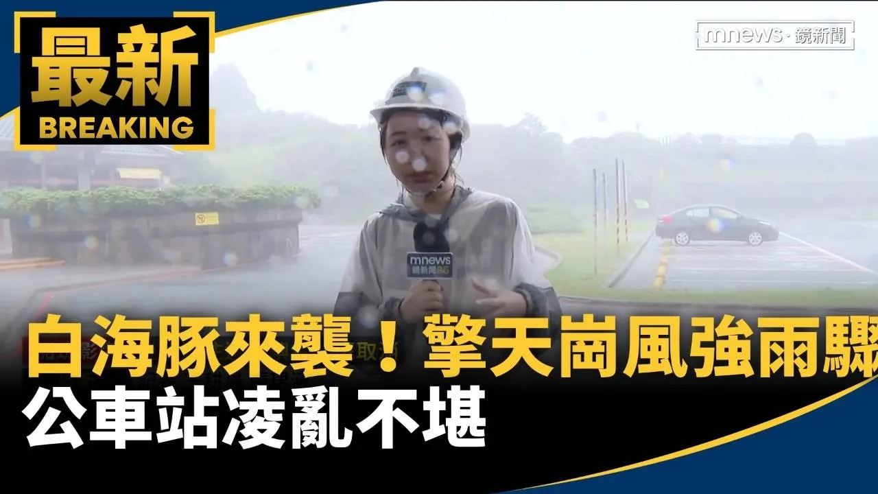 白海豚來襲！擎天崗風強雨驟　公車站凌亂不堪