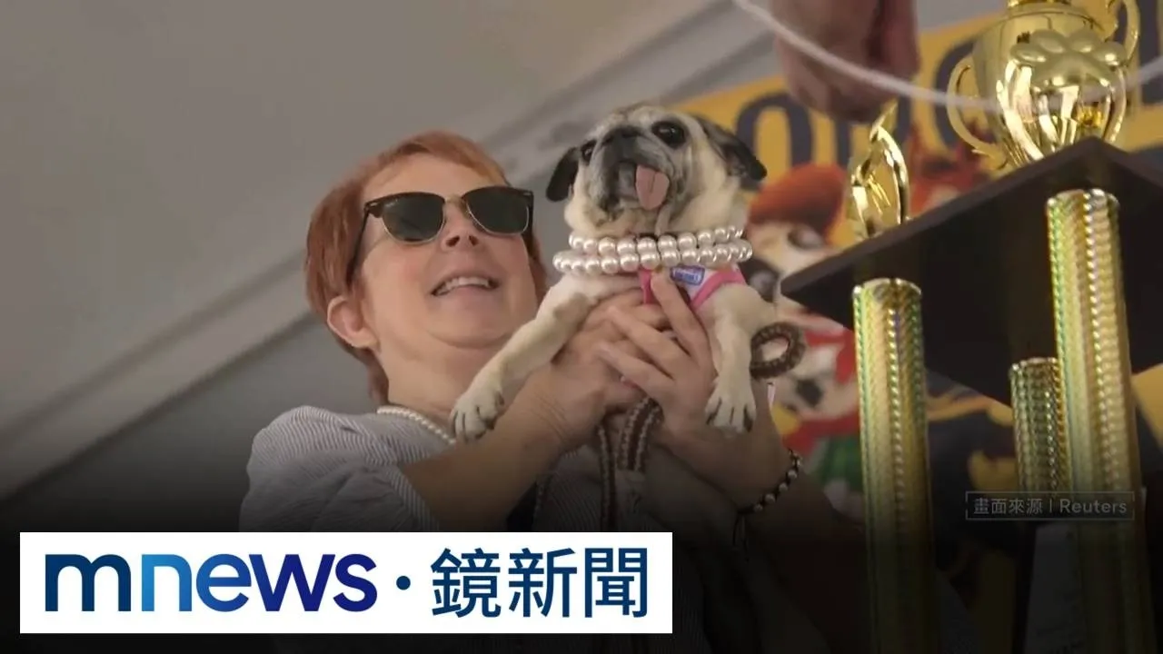 「全球最醜狗狗大賽」50週年！　「長舌凸眼」巴哥犬奪冠