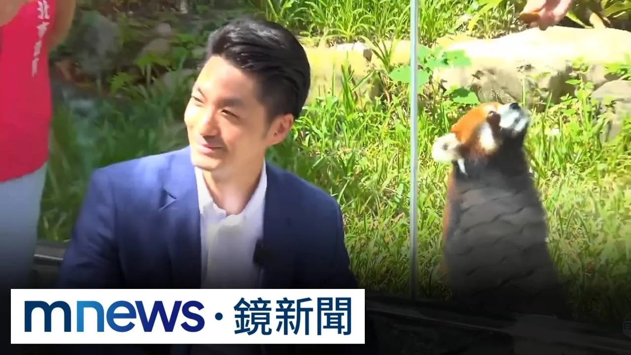 雙城「小貓熊」涉統戰？　陸委會：日本也送但沒辦見面會