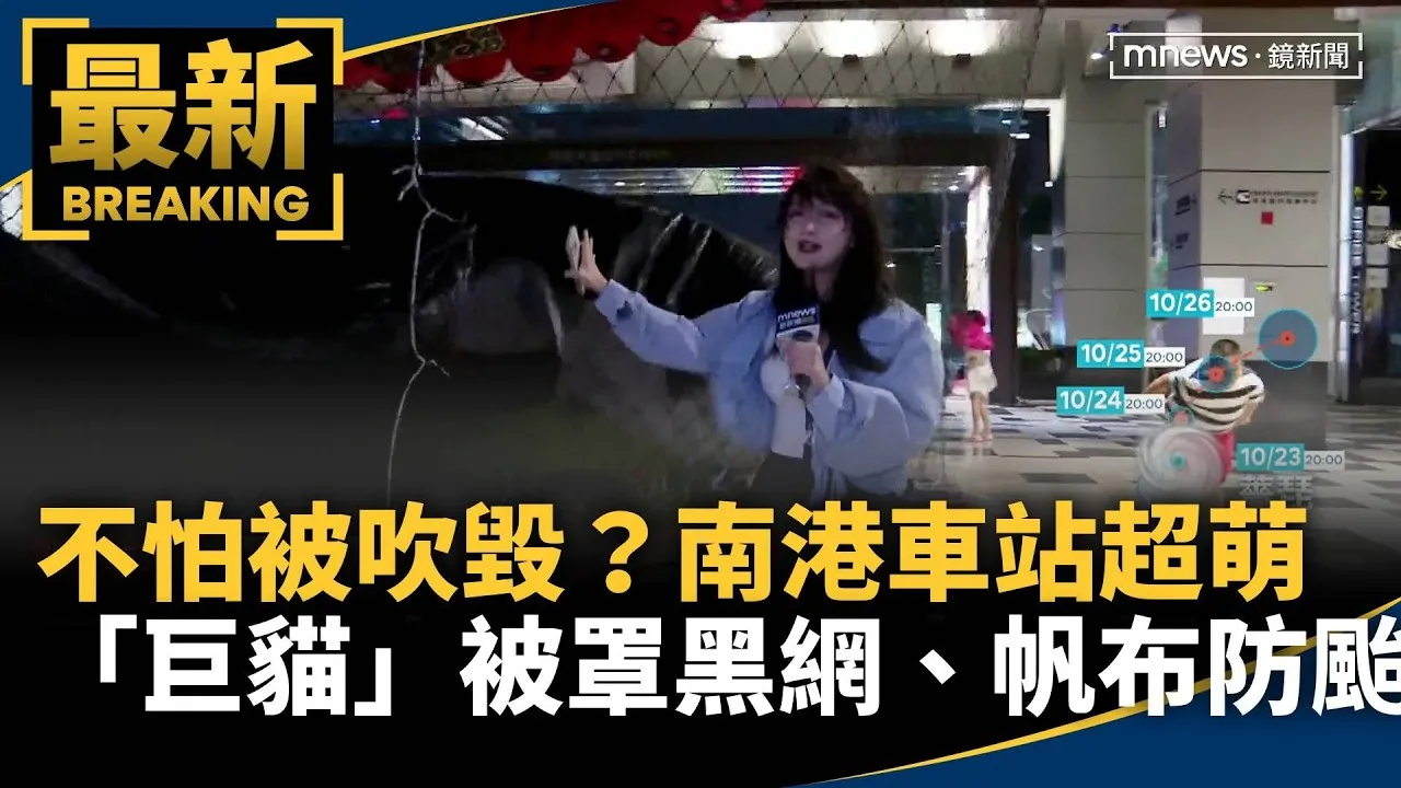 不怕被吹毀？南港車站超萌「巨貓」被罩黑網、帆布防颱