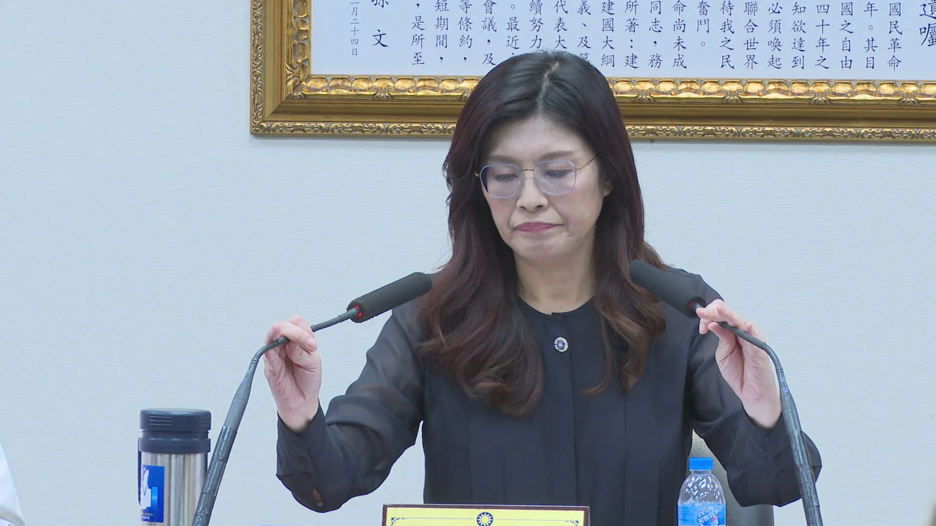 國民黨中評委提案「研議兩岸統一條件」　藍智庫：和統符合黨章