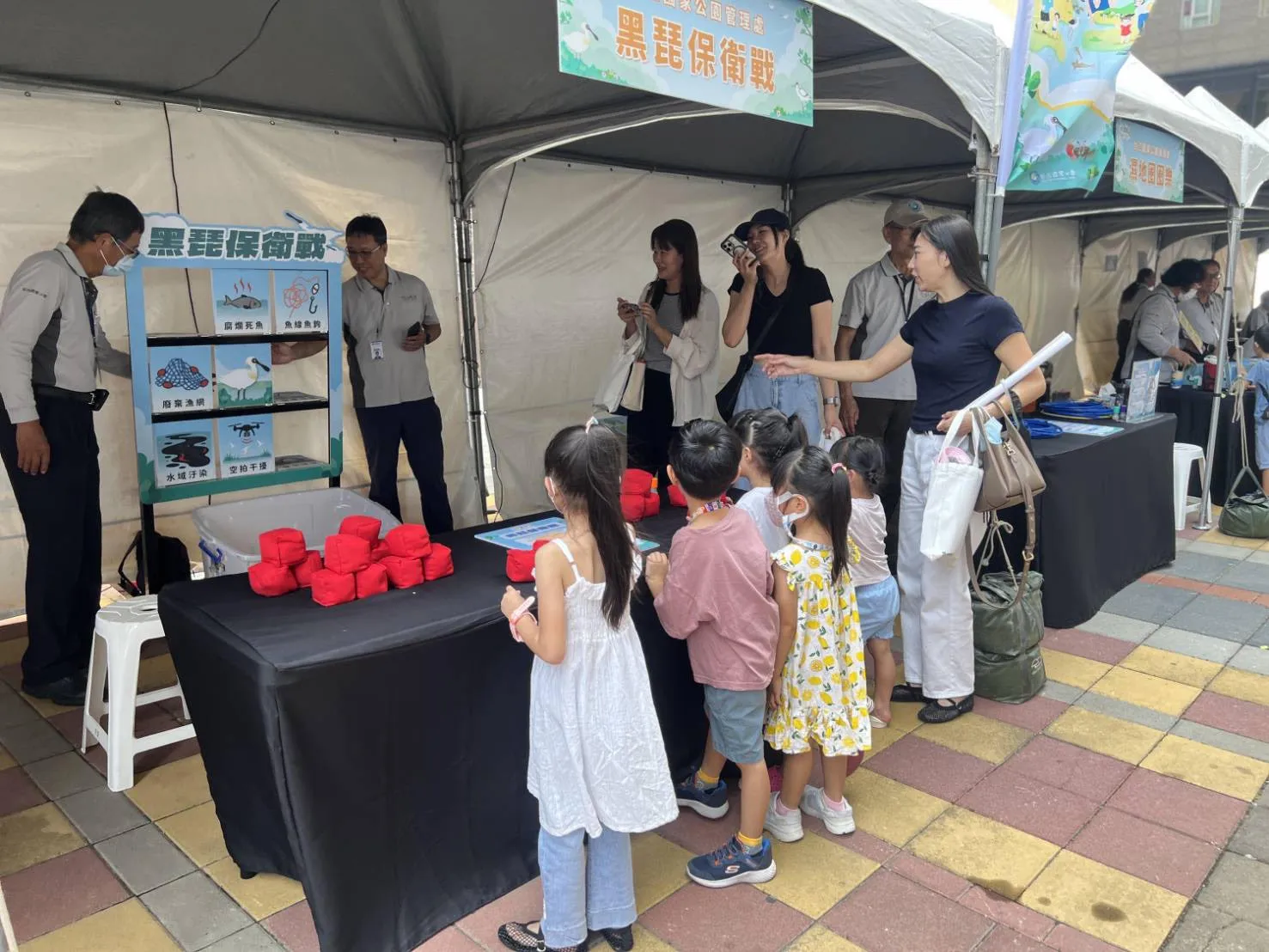 黑面琵鷺陸續抵台度冬　台江賞鳥季登場一路看到明年3月