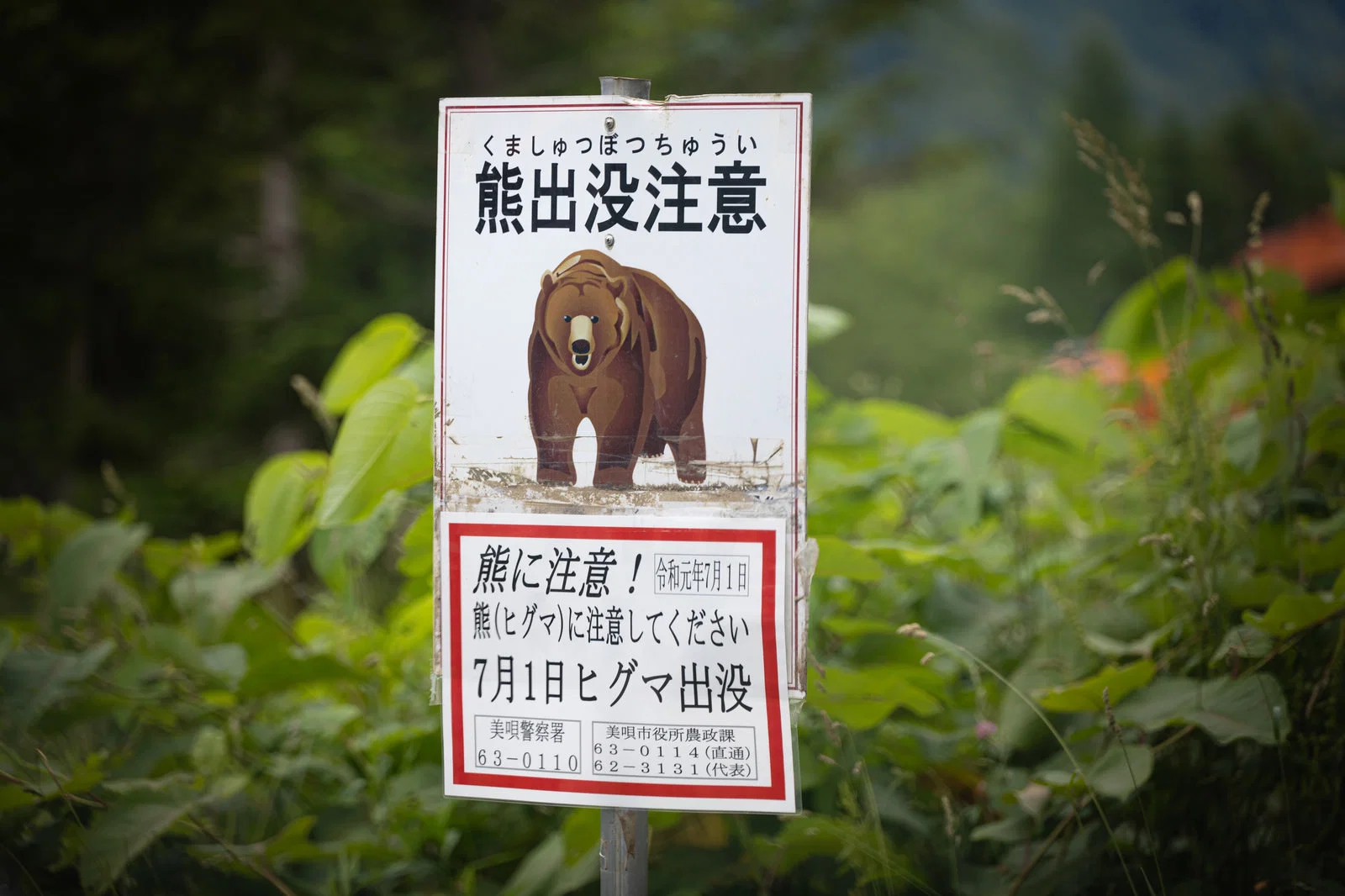 日本近年面臨嚴重的「野生熊出沒」危機,導致部分地區公立學校被迫停課,地方政府更因應「日本熊災」推出不扣分的「熊假」措施以保護學童安全。(示意圖/pakutaso)