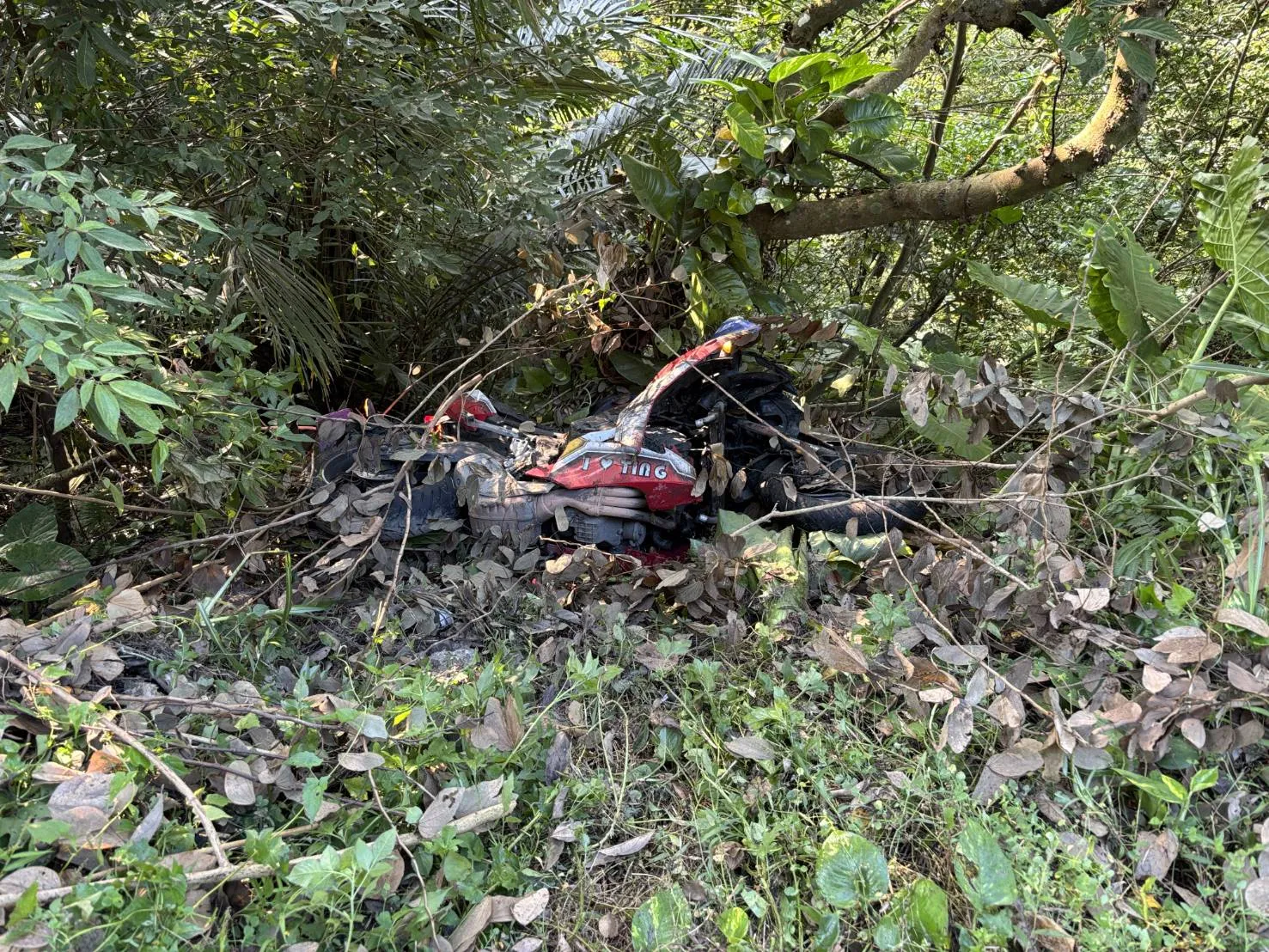 有片／跑山出事！北宜重機猴逆向超車下秒墜邊坡　「摔斷肋骨還腦震盪」急送醫