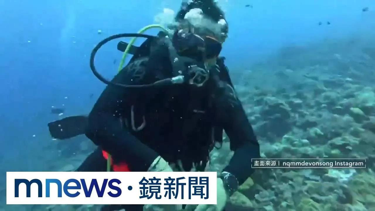 帛琉潛水被扯下面鏡、蛙鞋畫面曝！　南拳媽媽彈頭怒控「謀殺」