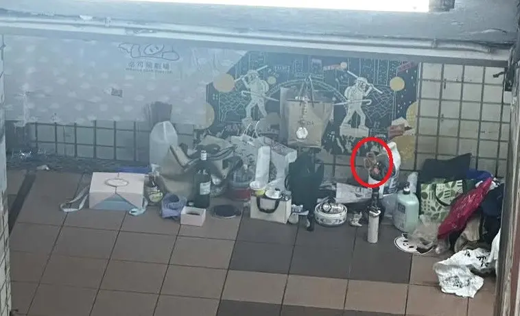 地下道當自家「掛西裝烤全雞」！遭檢舉60次也不怕　台中最狂街友驚人身分曝光