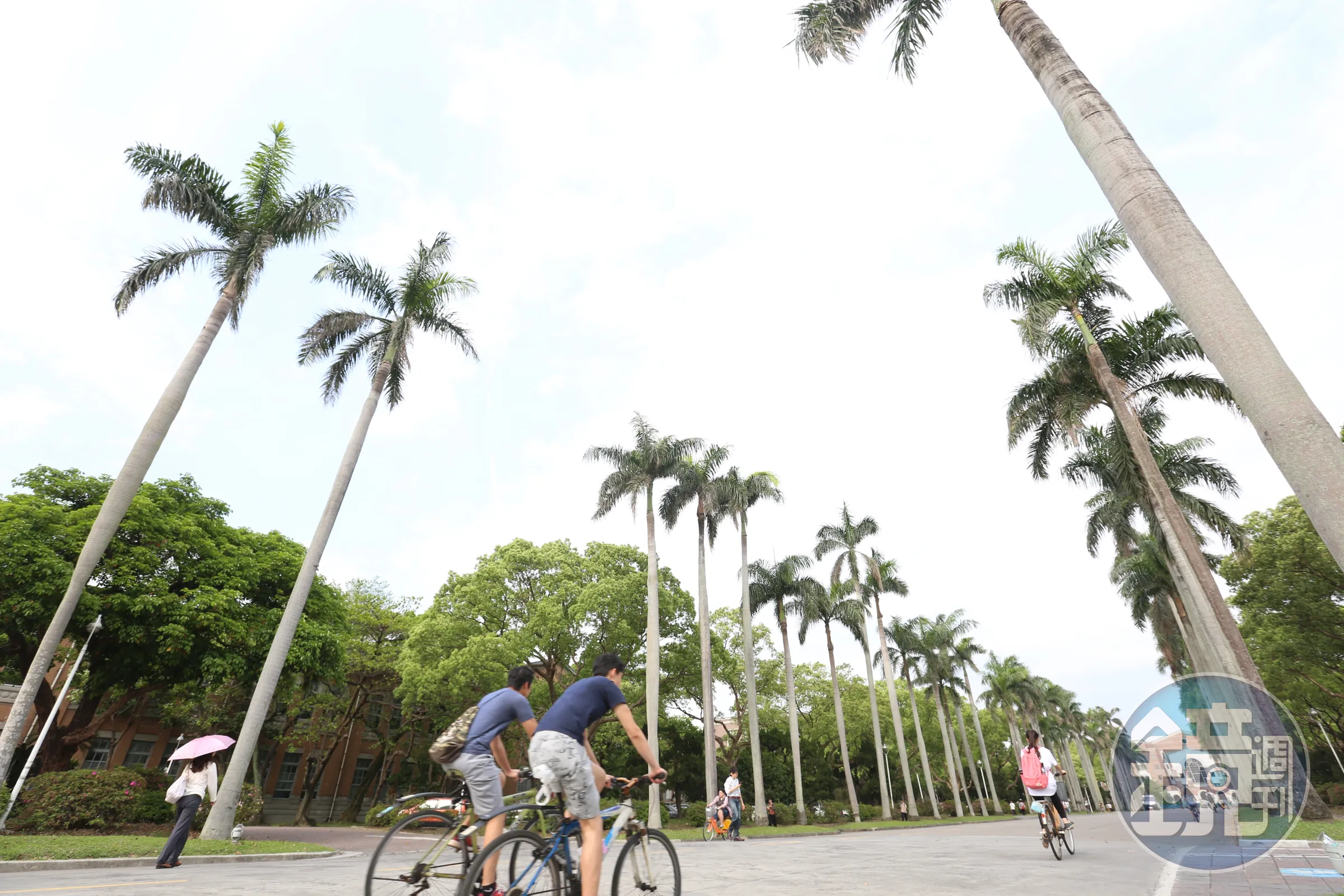 台大男一舍浴室接連遭亂大便！學生深夜蹲點捕獲「擒屎皇」　身分曝光了...本人親揭原因