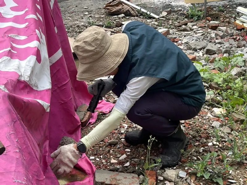 台南第6例境外移入登革熱　6旬越南女高雄入境發燒確診