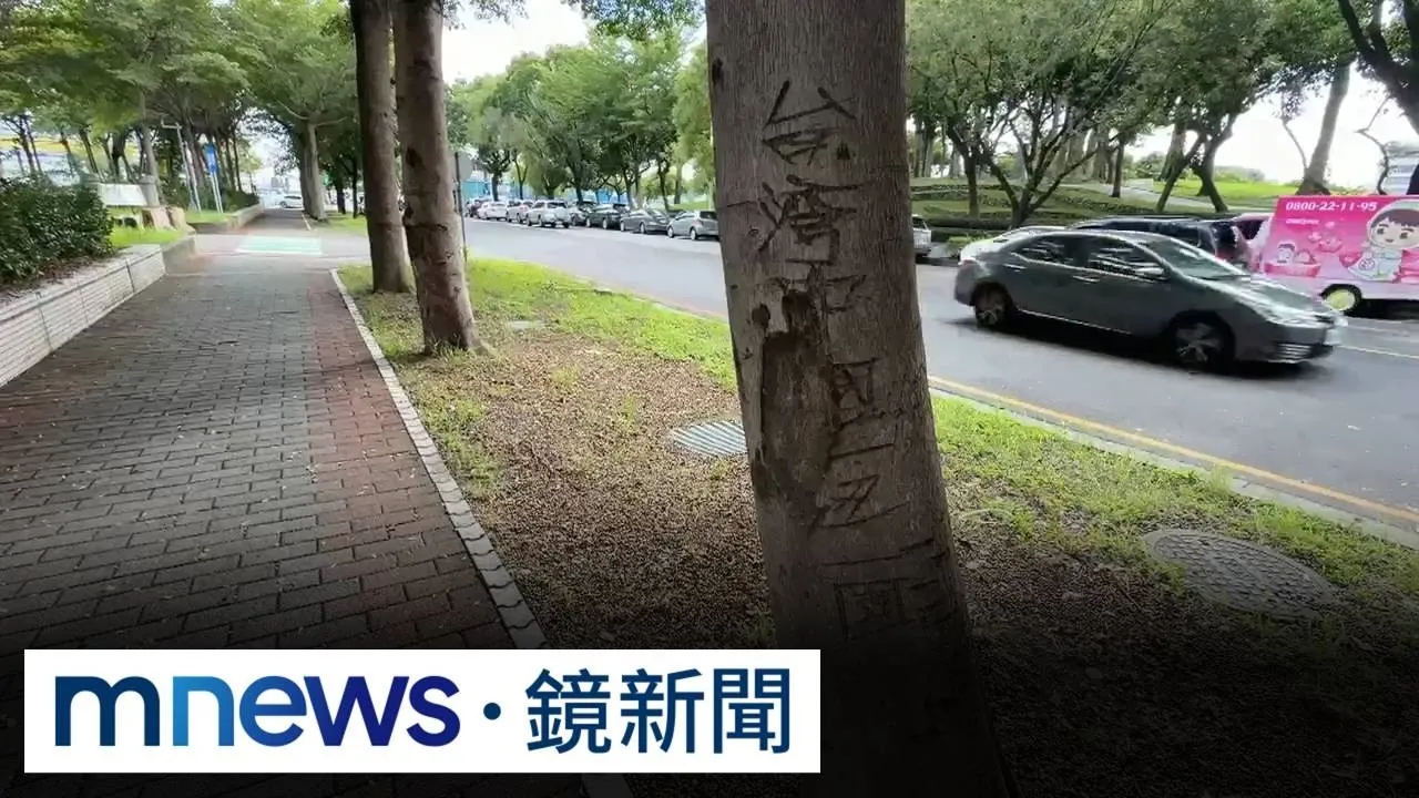 台中豐樂公園路樹遭殃！　樹幹遭刻字表達政治訴求