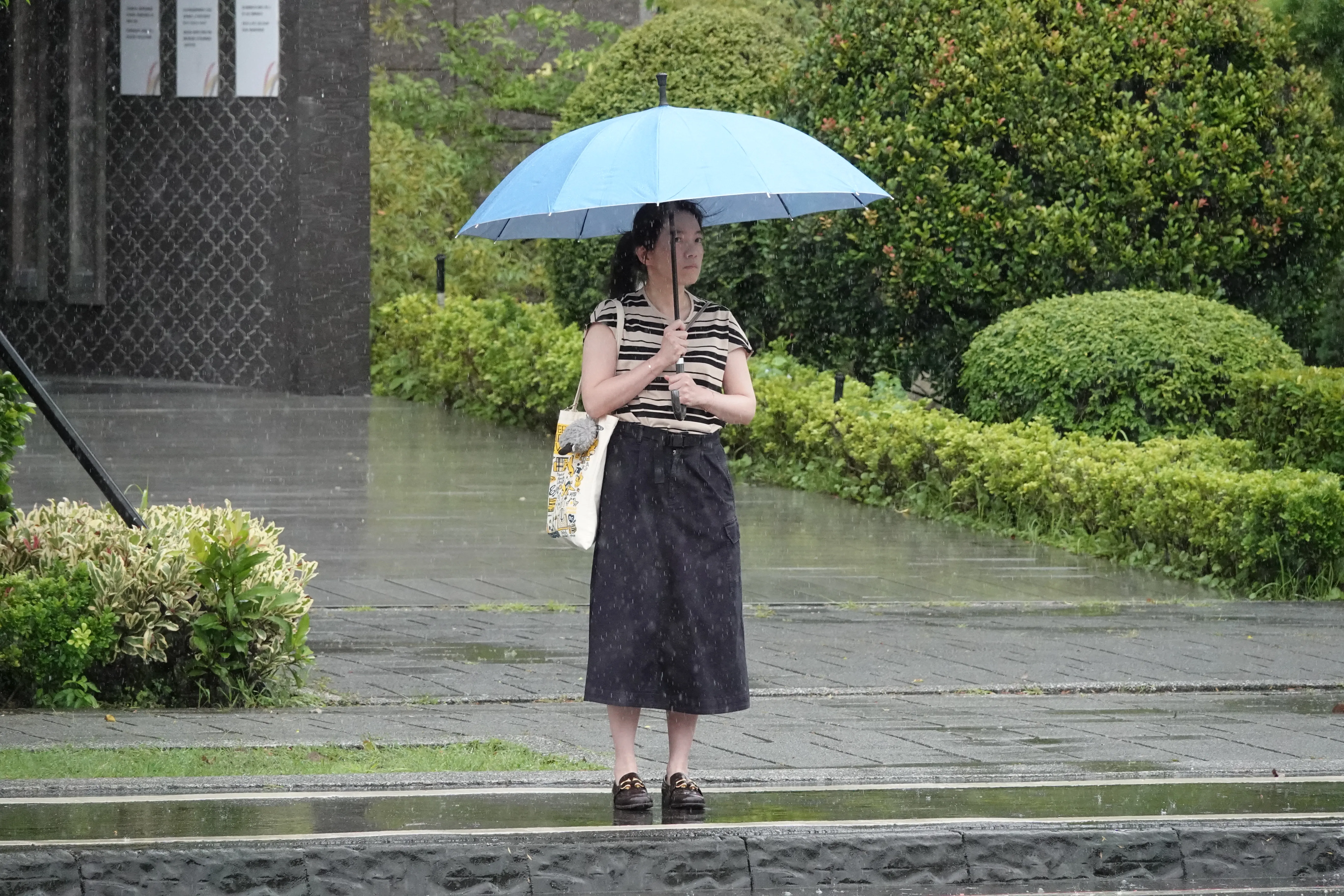 趙建銘薄情揭密／王醫師「搞不好是趙建銘小帳」　陳幸妤揭唯一盼望：小孩教育基金還來