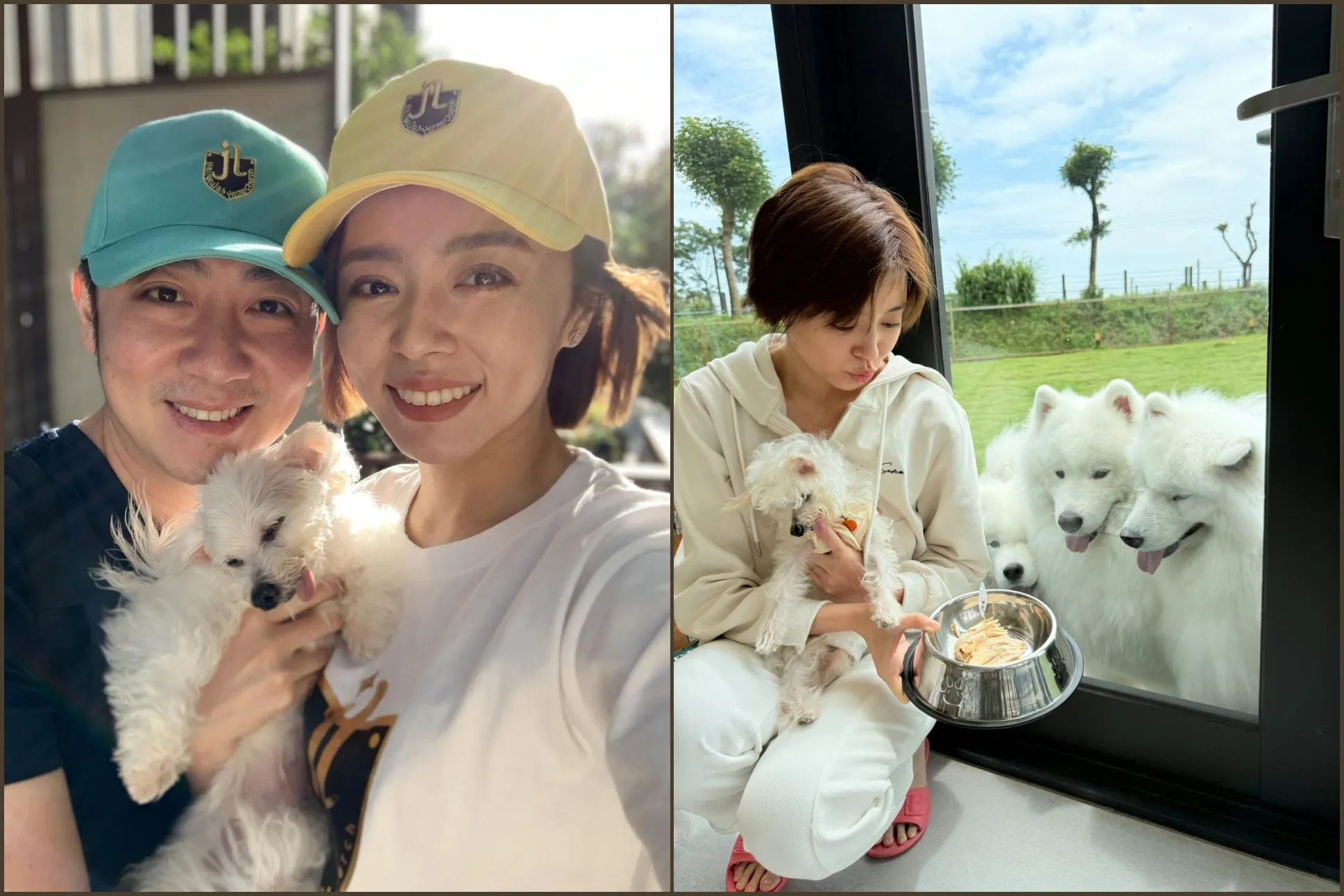 艾成走了愛犬哈嚕走了　失去的功課王瞳依然在面對
