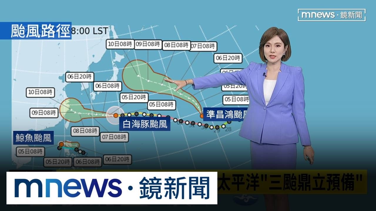 白海豚「擦邊球確認」　週末從北部海面擦身而過