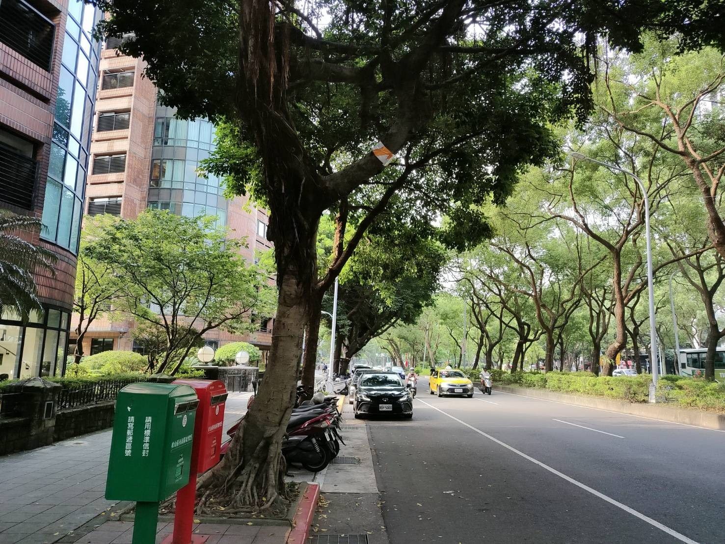 針對「行道樹紅白警示帶是砍樹標記」的說法,公園處澄清,警示帶僅用於提醒用路安全。(翻攝自臺北市政府官網)