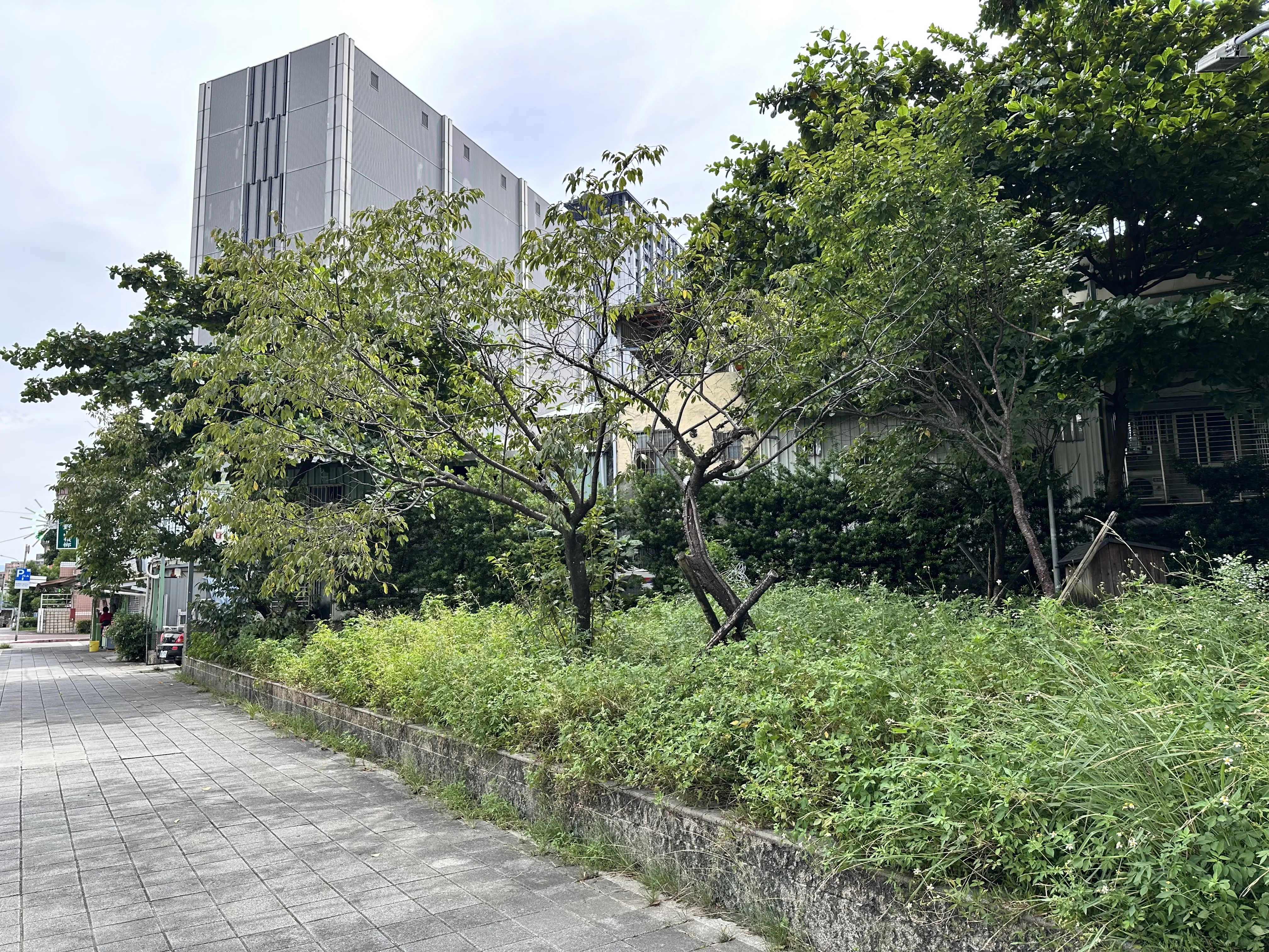公園淪垃圾場近月不清理    台北市府局處互踢皮球